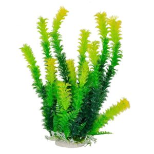 Green Plant, Light Yellow Tips 16" w/weighted base Bag & Header