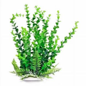Bacopa-like 9" w/weighted base Bag & Header, Green