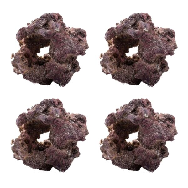 Caribsea LifeRock Donuts 4pcs