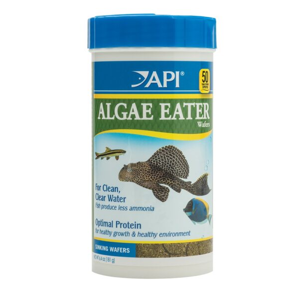 API Algae Eater Wafers 6.4oz