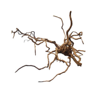 Naturescapes 20"-24" Spider Wood Large