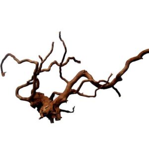 Naturescapes 15"-20" Spider Wood Medium