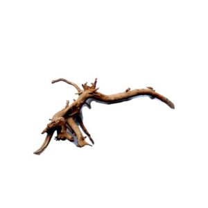 Naturescapes 10"-15" Spider Wood Small