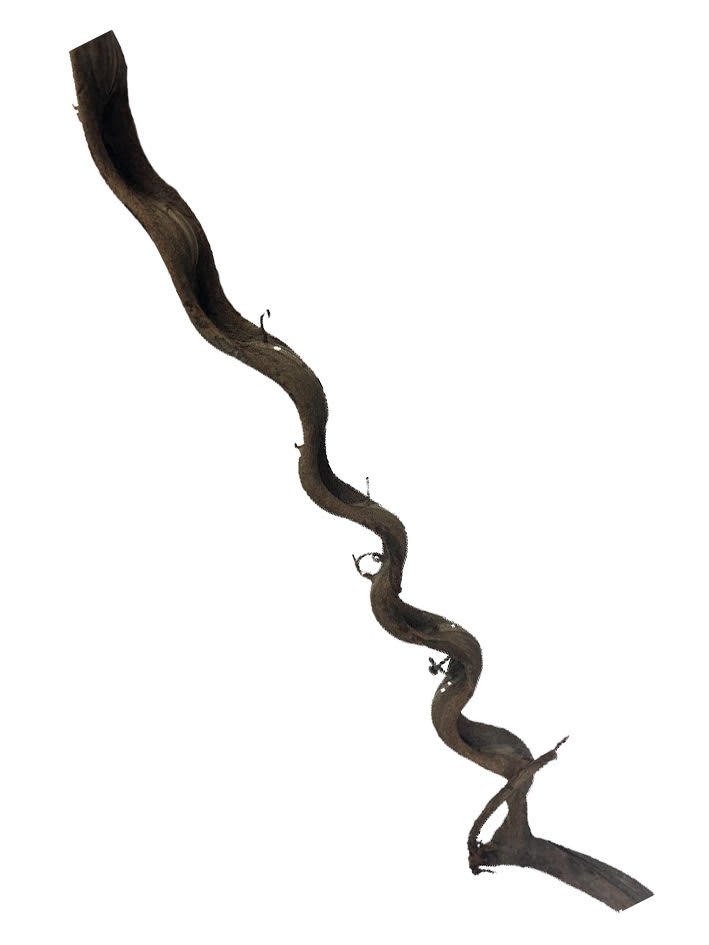 Naturescapes Twisted Branch XL