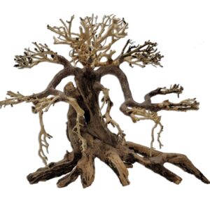 Naturescapes Savanna Bonsai Lg
