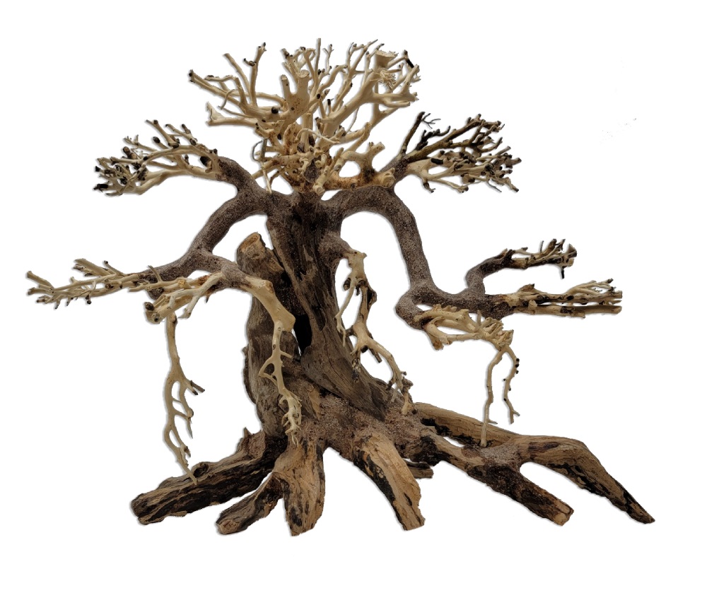 Naturescapes Savanna Bonsai XL