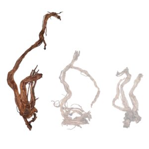 Naturescapes Dragon Root 48"-60" Large