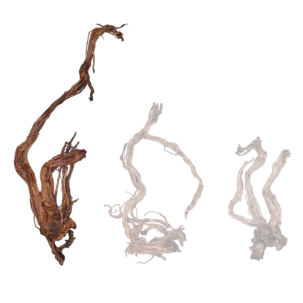 Naturescapes Dragon Root 48"-60" Large