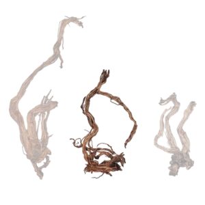 Naturescapes Dragon Root 30"-48" Medium