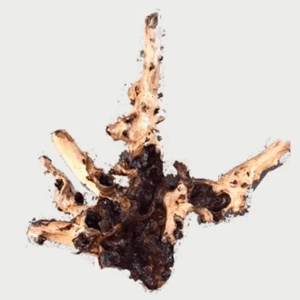 Naturescapes Indo Mopani Wood Lg