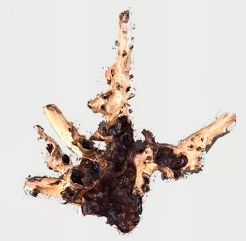 Naturescapes Indo Mopani Wood Lg