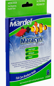Fritz Maracyn 10ct