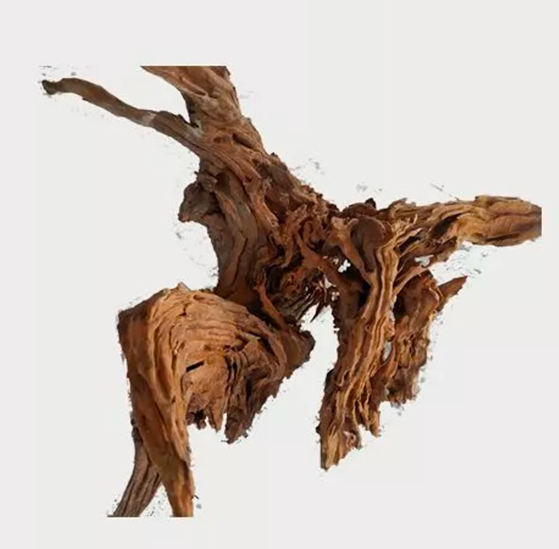 Naturescapes Spider Trees Sm