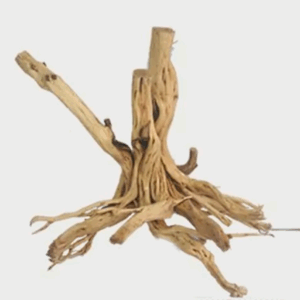 Naturescapes Redmoor Root Lg 24"-36"