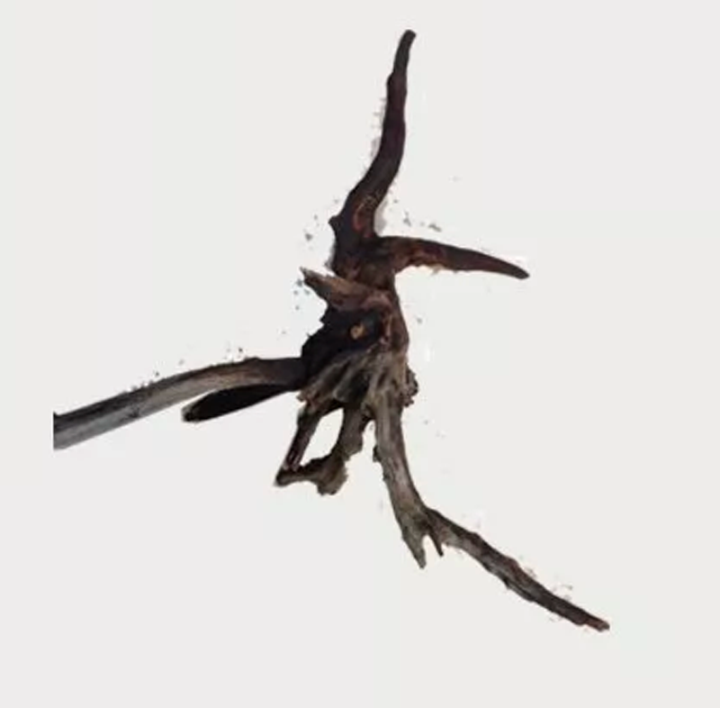 Naturescapes Saba Wood Lg 30"-45"