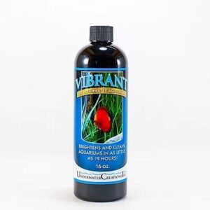 UWC Freshwater Vibrant 16oz