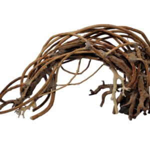 Naturescapes Crescent Bonsai Lg