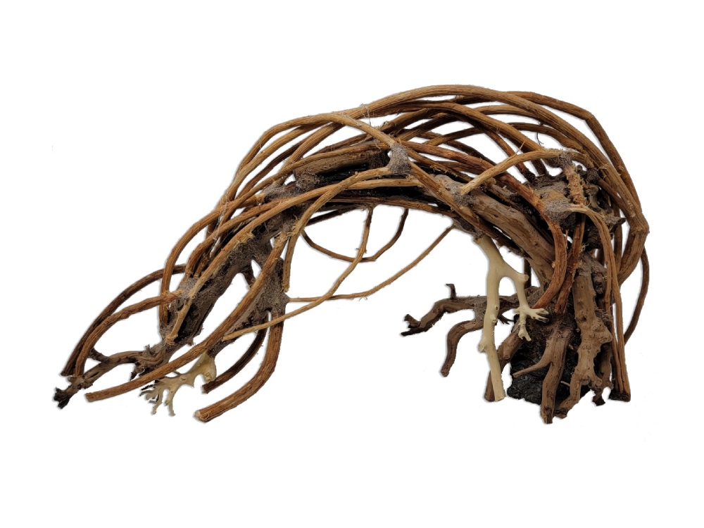 Naturescapes Crescent Bonsai Lg